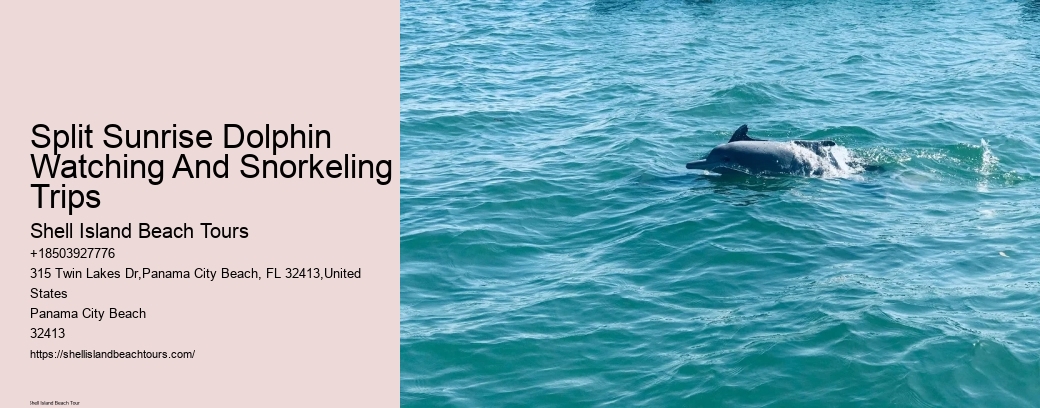 Split Sunrise Dolphin Watching And Snorkeling Trips