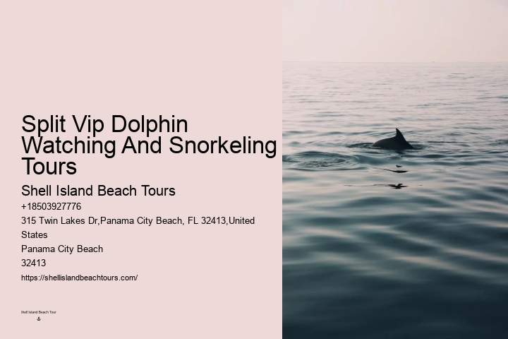 PCB Dolphin Discovery Cruises