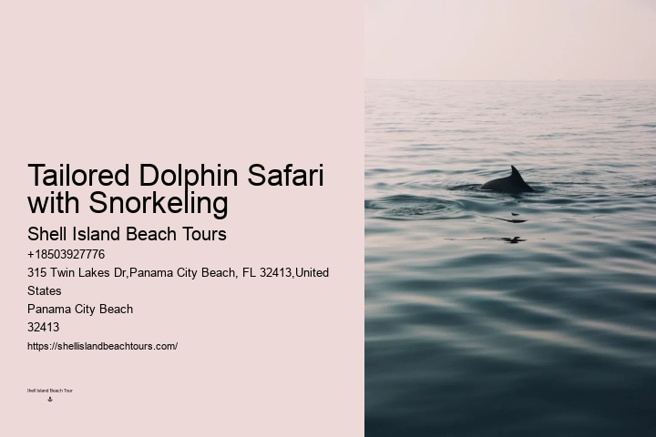 Private Dolphin And Snorkeling Tours