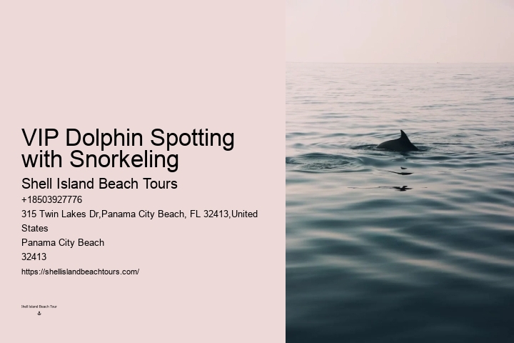 Can A Non Swimmer Swim With Dolphins
