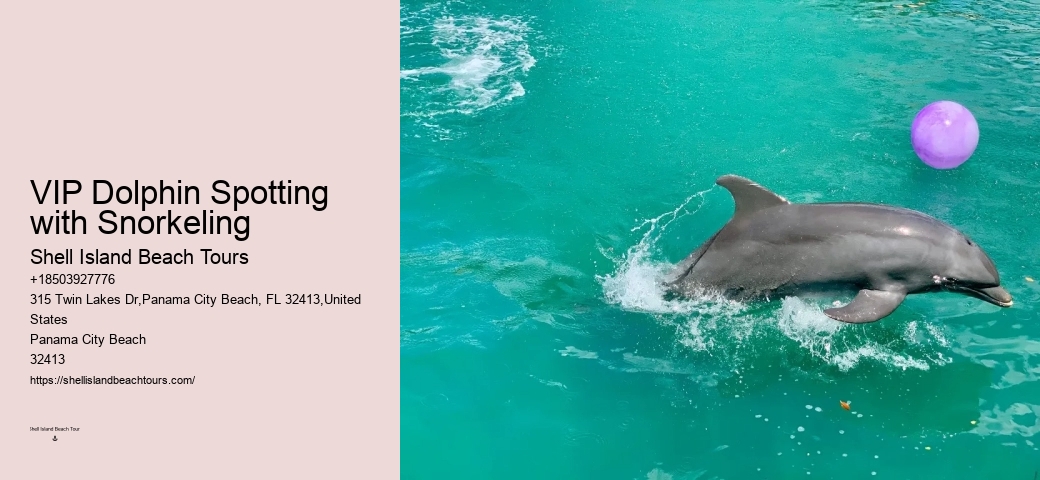 What Hours Of The Day Are Dolphins Most Active