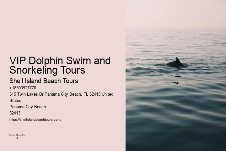 PCB Dolphin Discovery Excursions